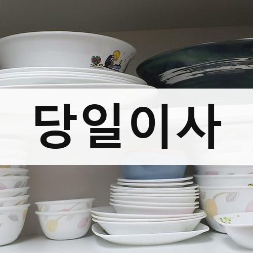 경기 남부(수원·용인·화성) 당일이사 포장이사